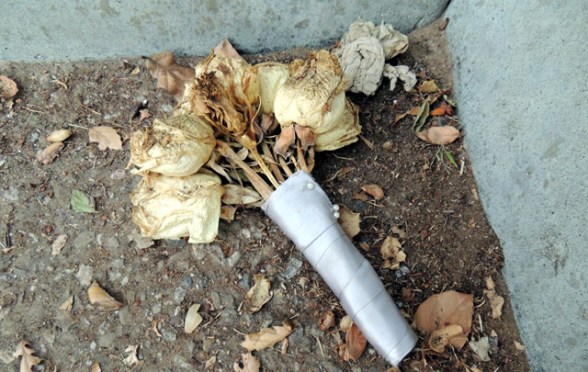 Bouquet I found when walking the other day that inspired the short fiction: Tossed & Found
