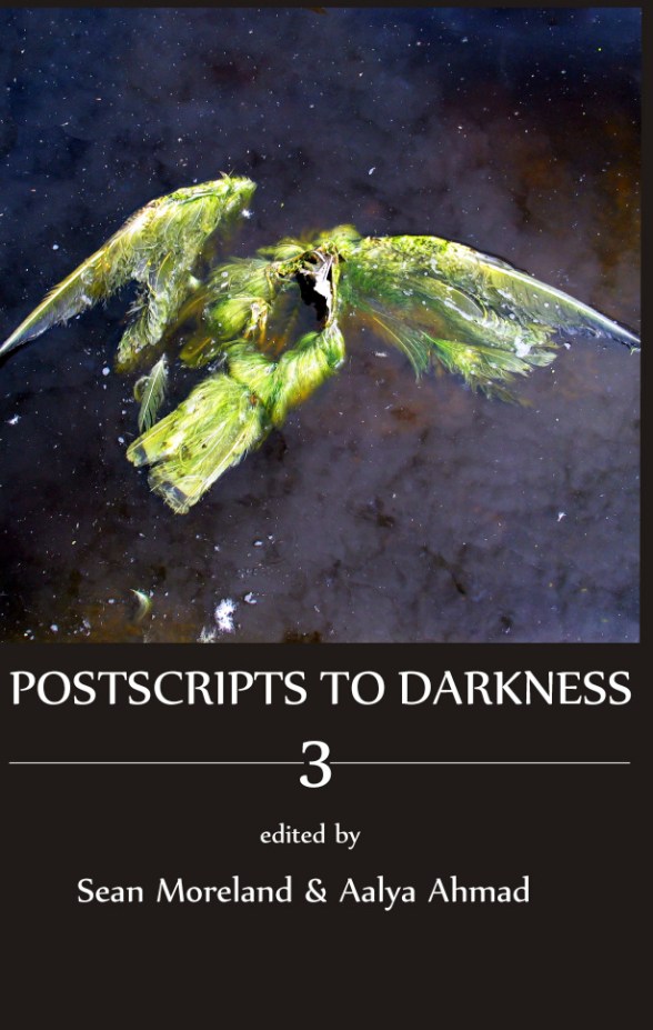 cover-art-pstd-3-feb-26-version-2