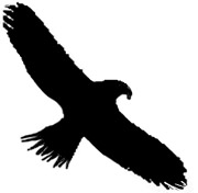 Karen Robiscoe dba CHARRONs CHATTER