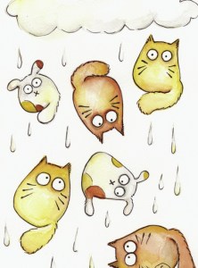 raining-cats-and-dogs